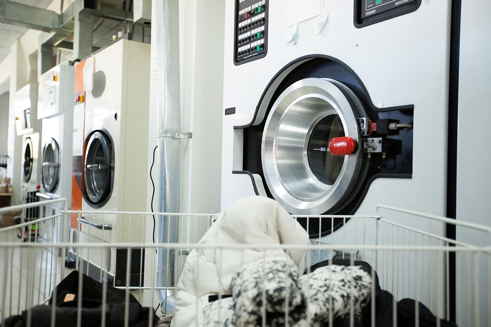 laundry business management software